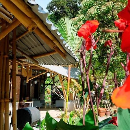 Bamboo Cottage Langkawi Pantai Cenang  Eksteriør billede
