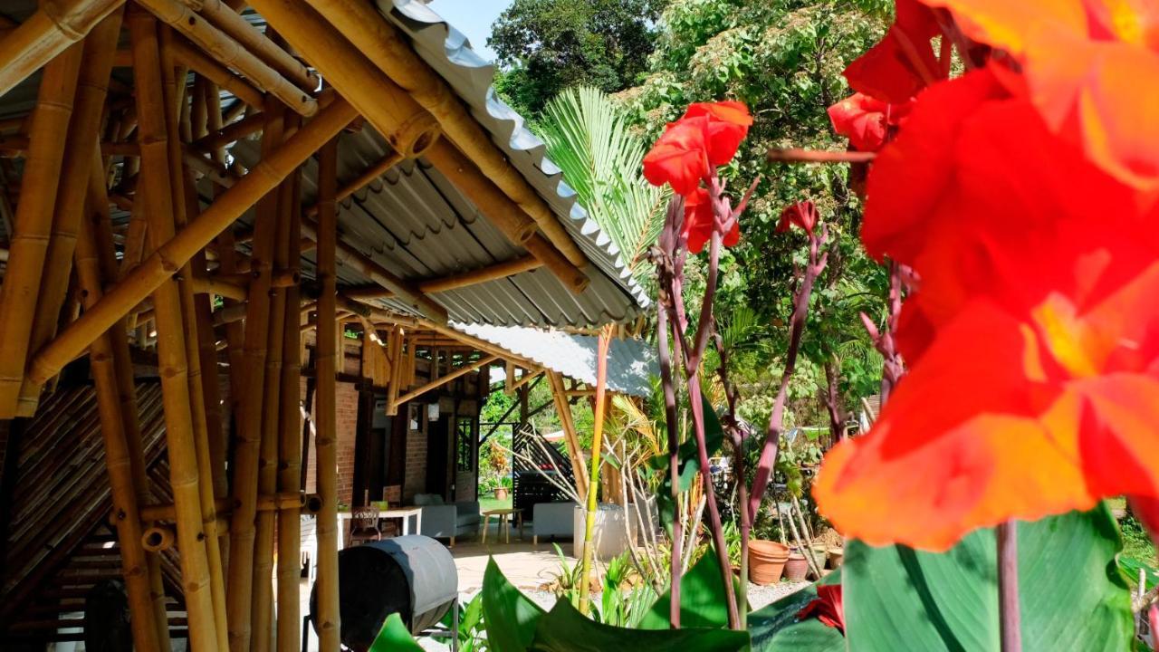 Bamboo Cottage Langkawi Pantai Cenang  Eksteriør billede